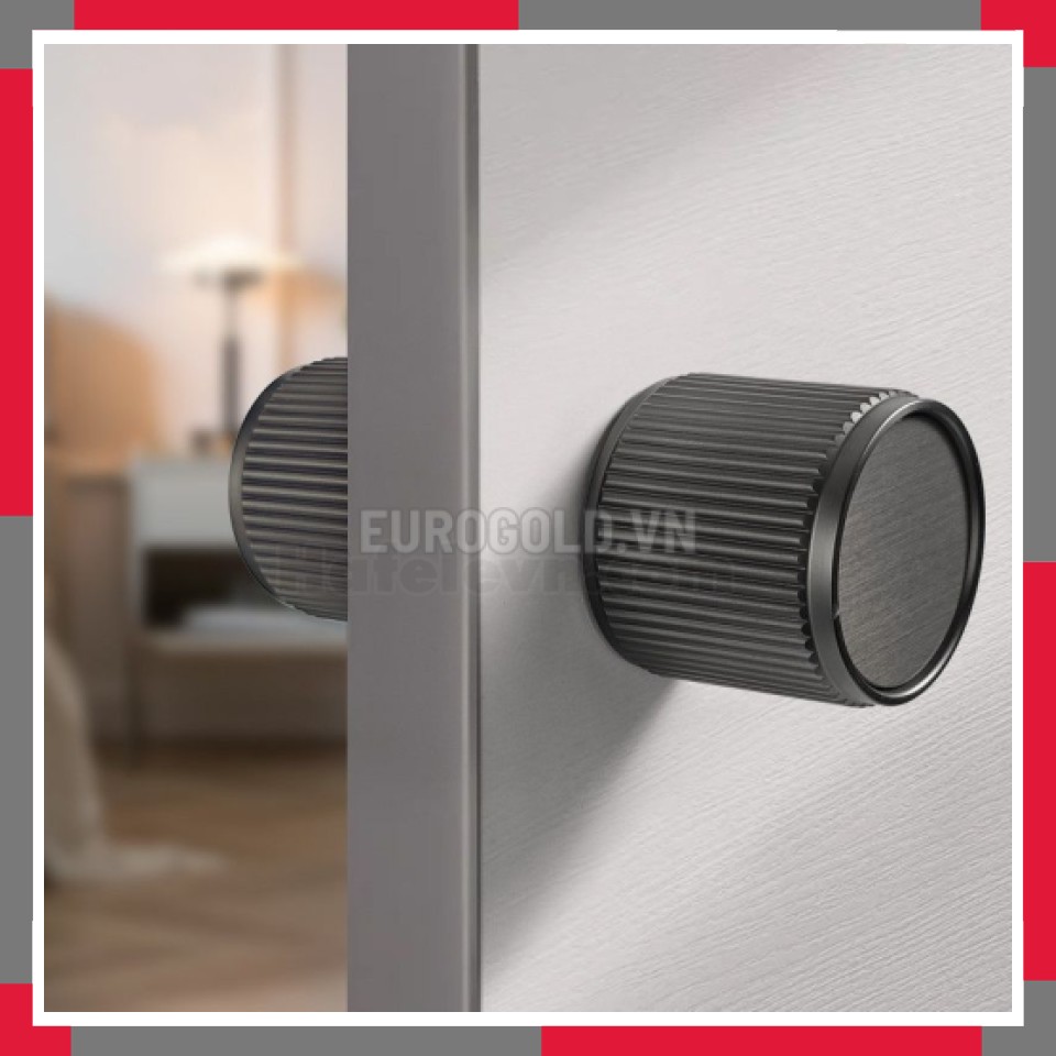 Khóa Cửa Phân Thể, Khóa Cửa đi Thông Phòng Hợp Kim Cao Cấp EuroGold BH20F8