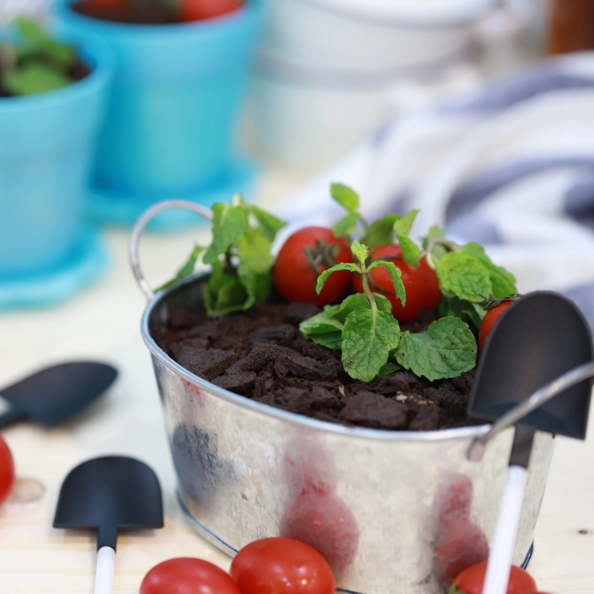 BÁNH MOUSSE SOCOLA CHẬU CÂY