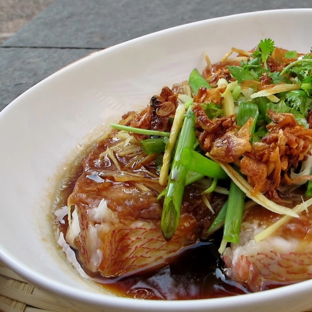 CÁ HẤP NƯỚC TƯƠNG