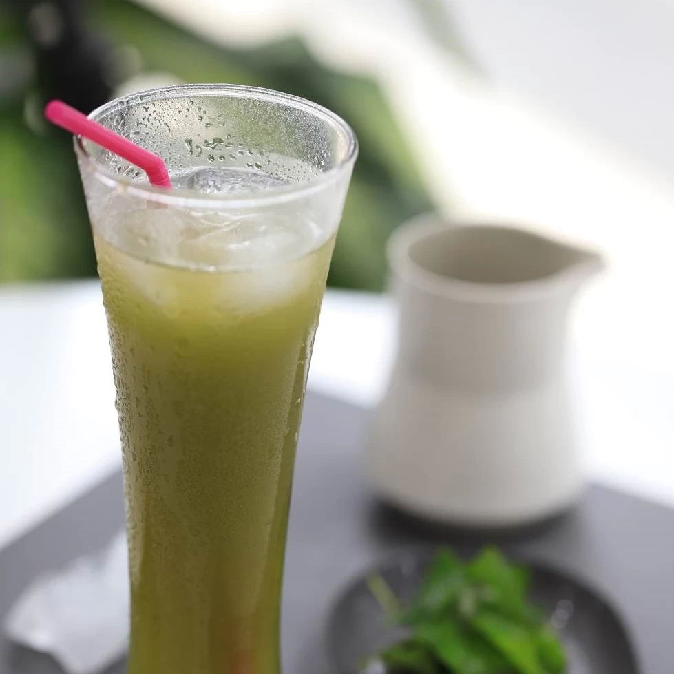 DIẾP CÁ ĐƯỜNG PHÈN
