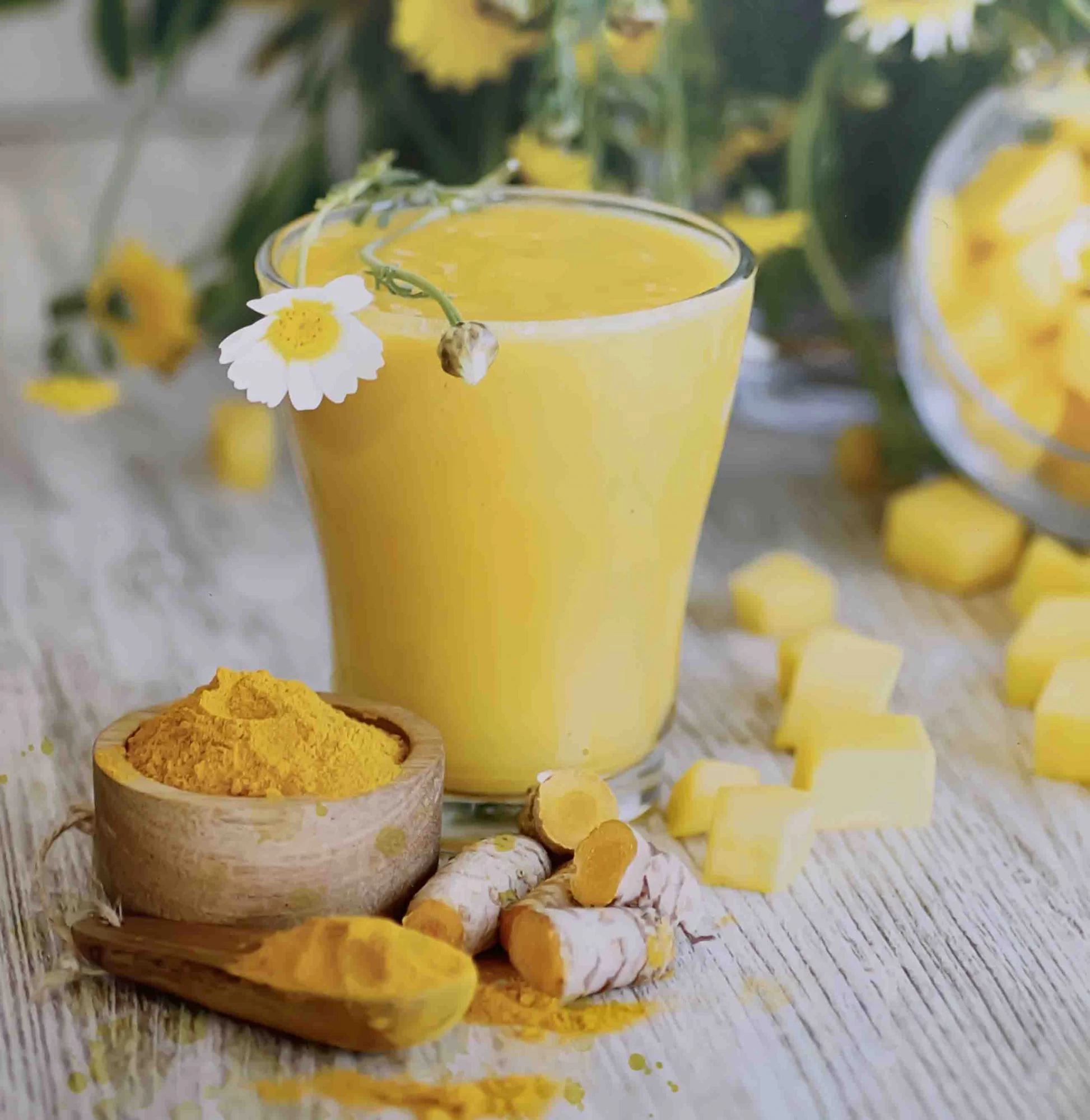 KOMBUCHA NGHỆ GỪNG
