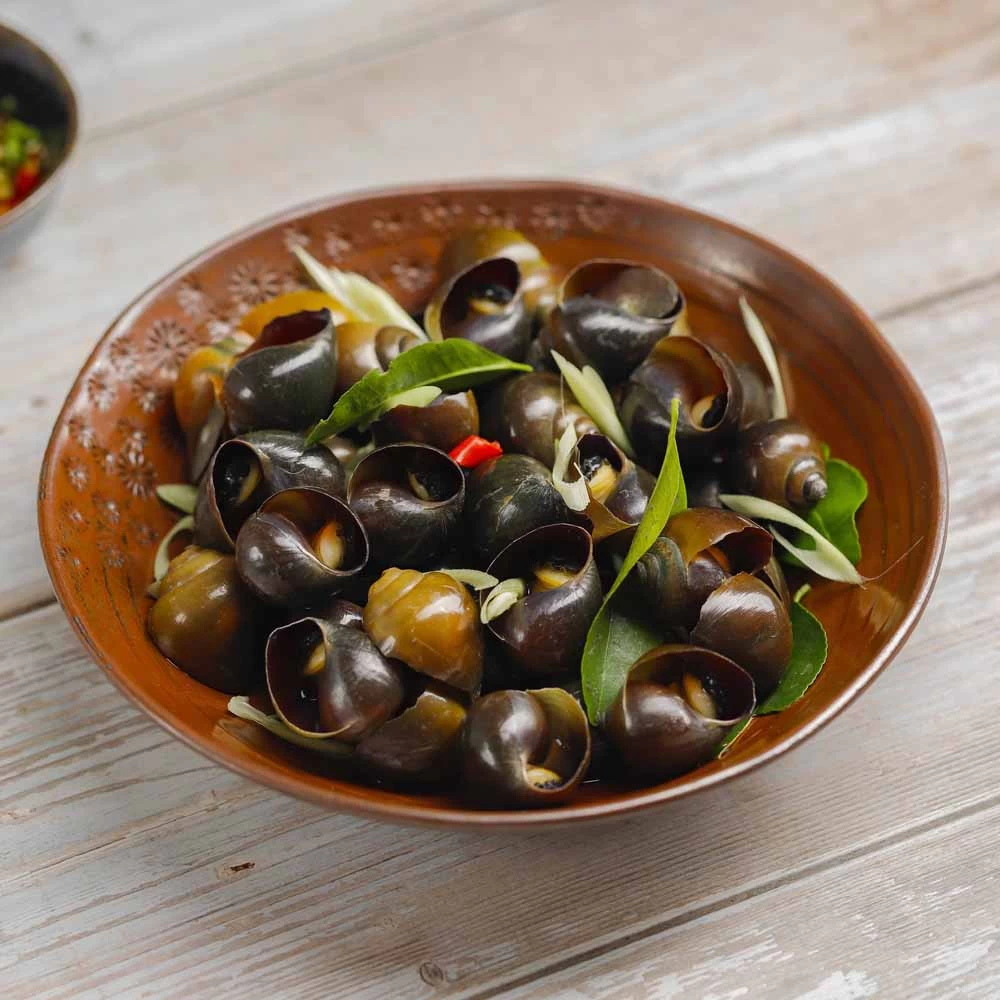 ỐC LUỘC