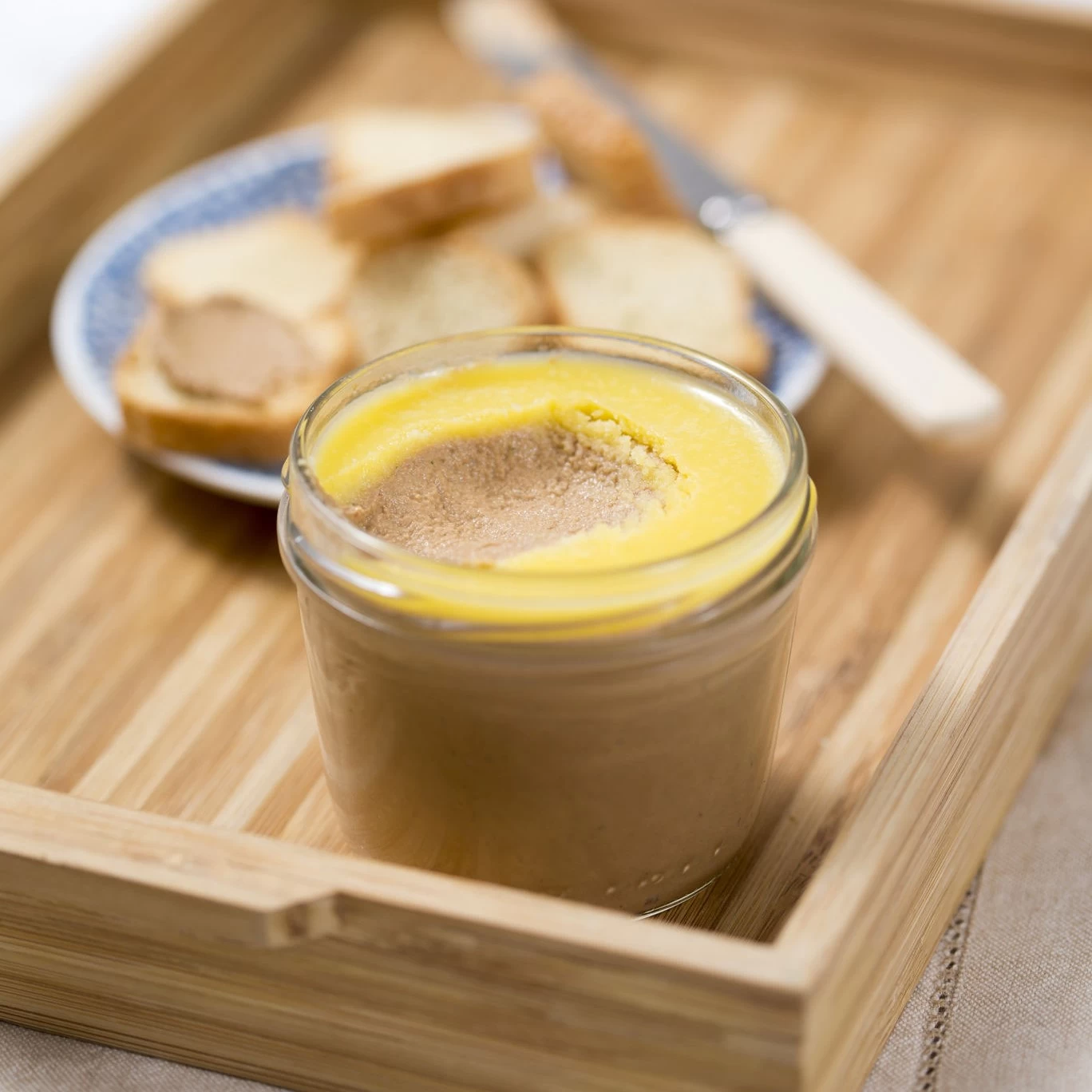 PATE GAN GÀ