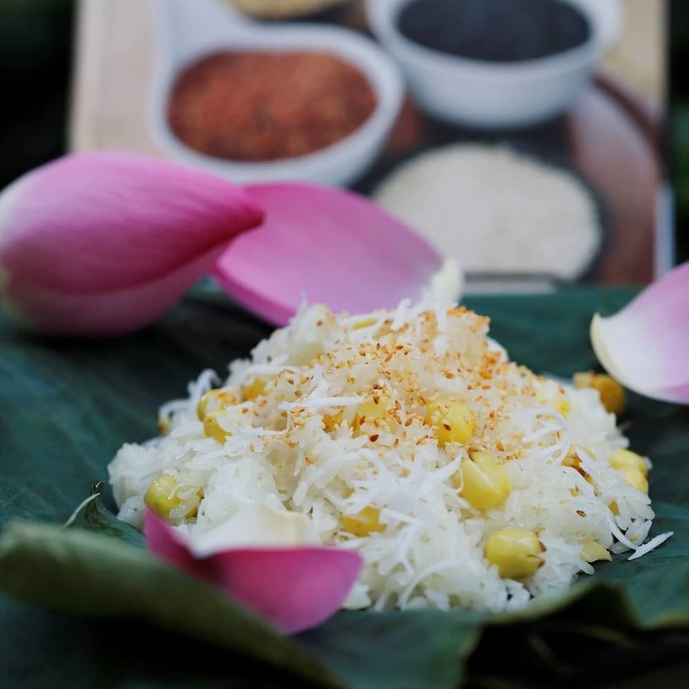 XÔI SEN DỪA VỪNG