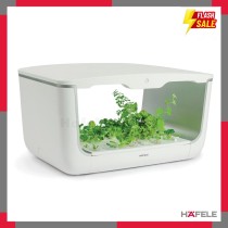 Hộp Trồng Cây H Box Hafele 539.76.990