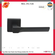 Tay Nắm Gạt Flash Cửa Phòng Hafele 901.79.718