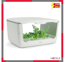 Hộp Trồng Cây H Box Hafele 539.76.990