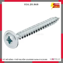 VÍT MŨI BẰNG =THÉP MẠ KẼM 4,0x30MM Hafele 016.20.868