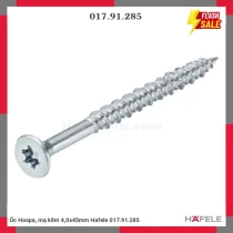 Ốc Hospa, mạ kẽm 4,0x45mm Hafele 017.91.285