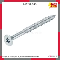 Hospa Jet CS TS galv.P5,0x35mm Hafele 017.91.343