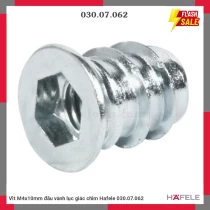 Vít M4x10mm đầu vành lục giác chìm Hafele 030.07.062