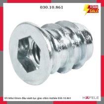 Vít M6x10mm đầu vành lục giác chìm Hafele 030.10.861
