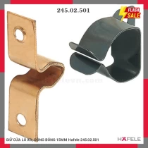 GIỮ CỬA LÒ XO, ĐỒNG BÓNG 15MM Hafele 245.02.501