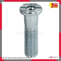 ỐC VÍT SW6 M10X33 Hafele 637.45.997