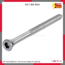 VÍT CHO KHÓA DT-LITE 1B=2C Hafele 917.80.924