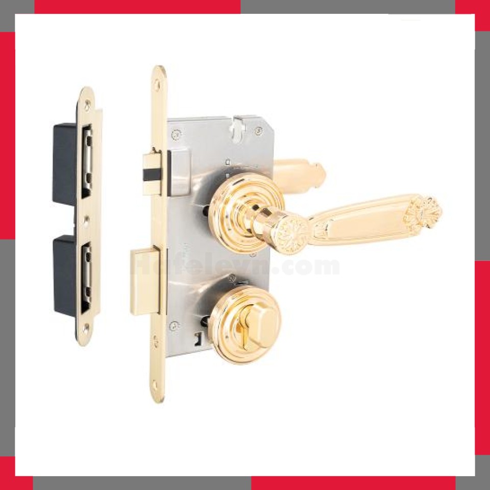 Khóa cửa phân thể VICKINI 38306.101 EG