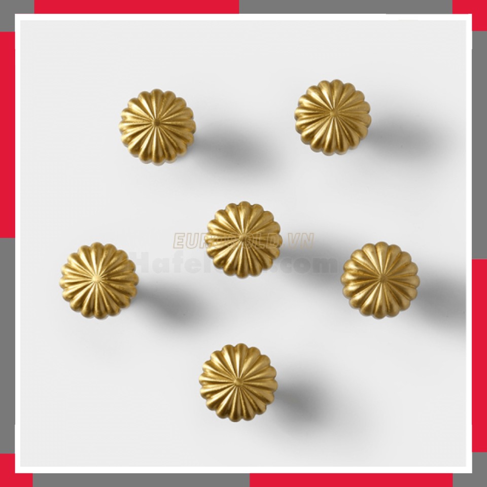 Núm Tủ Tròn đồng Nguyên Chất EuroGold BHG72