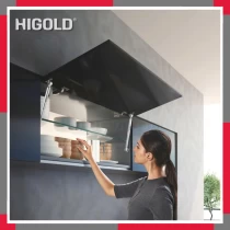 Piston hơi giảm chấn series G HiGold 817012