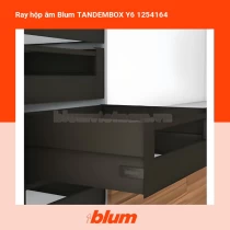 Ray hộp âm Blum TANDEMBOX Y6 1254164