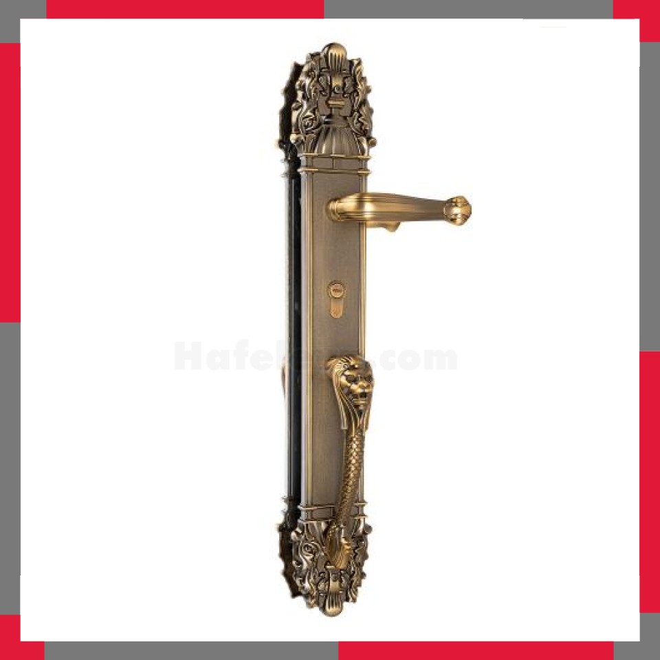 Tay khóa cửa sảnh VICKINI 39501.004 CF