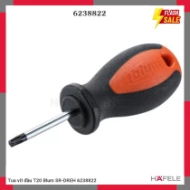 Tua vít đầu T20 Blum SR-DREH 6238822